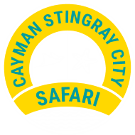 Cayman Stingray City Safari