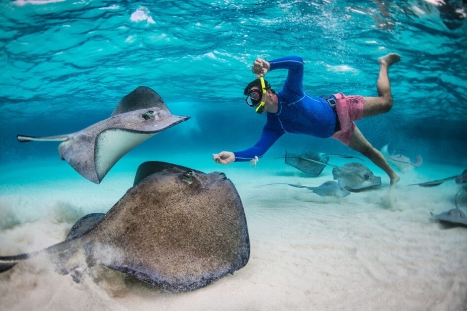 2 Stop Tour - Stingray City - Sandbar - Coral Gardens Snorkeling